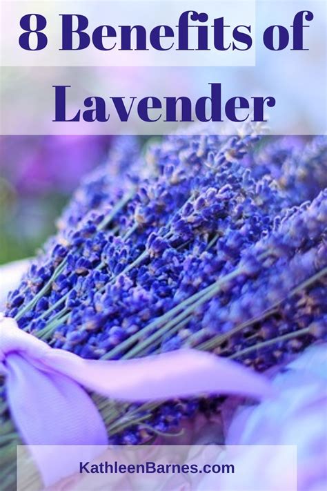 Unlocking the Relaxing Properties of Lavender in Magnum Properties